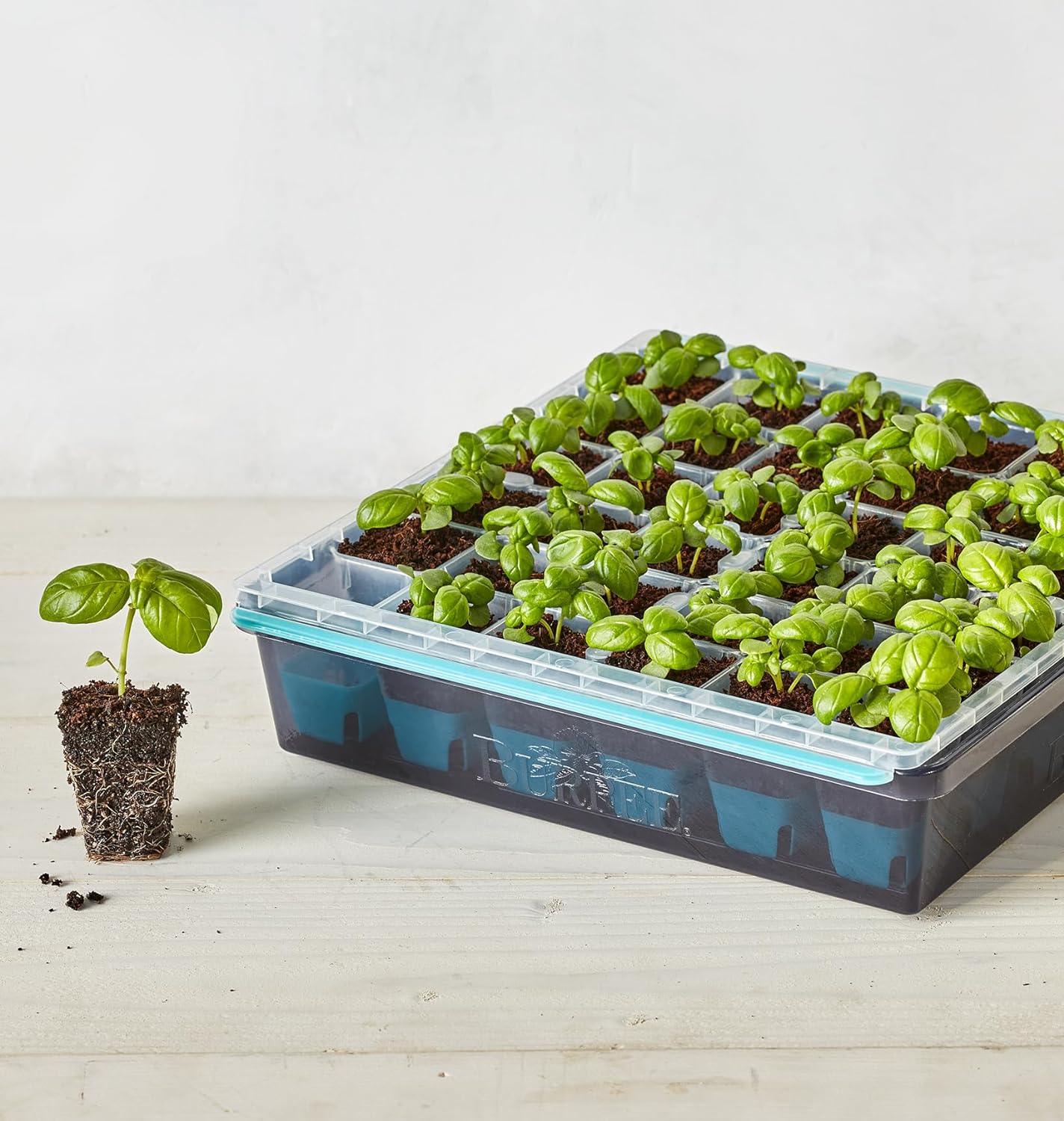SuperSeed Seed Starting Tray | 36 Cell Reusable Seed Starter Tray | for Starting Vegetable, Flower & Herb Seeds |