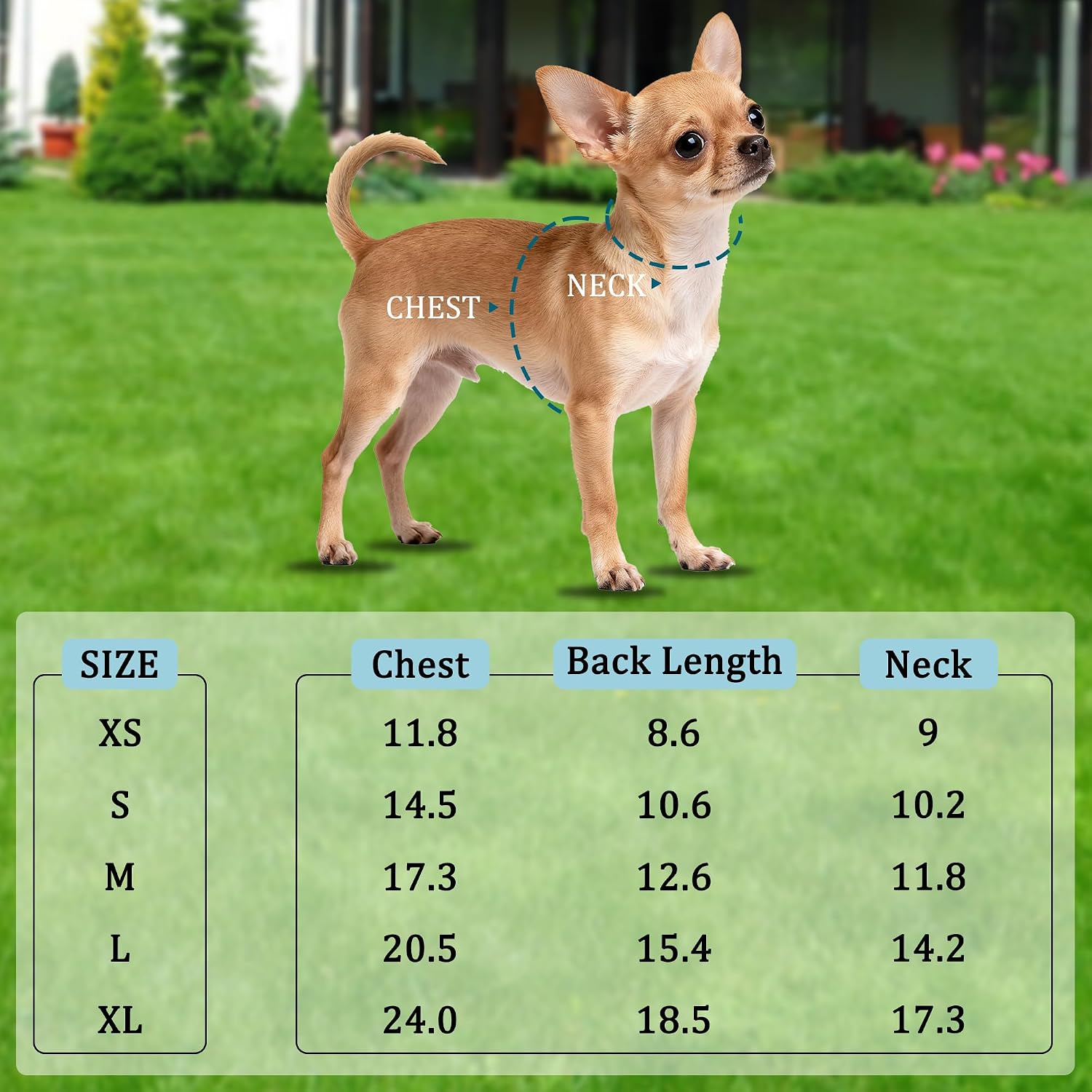 Dog Warm Coat, Small Dog Winter Jacket Windproof Water Resistant Cold Weather Coats Cozy Snow Jacket Vest for Puppies
