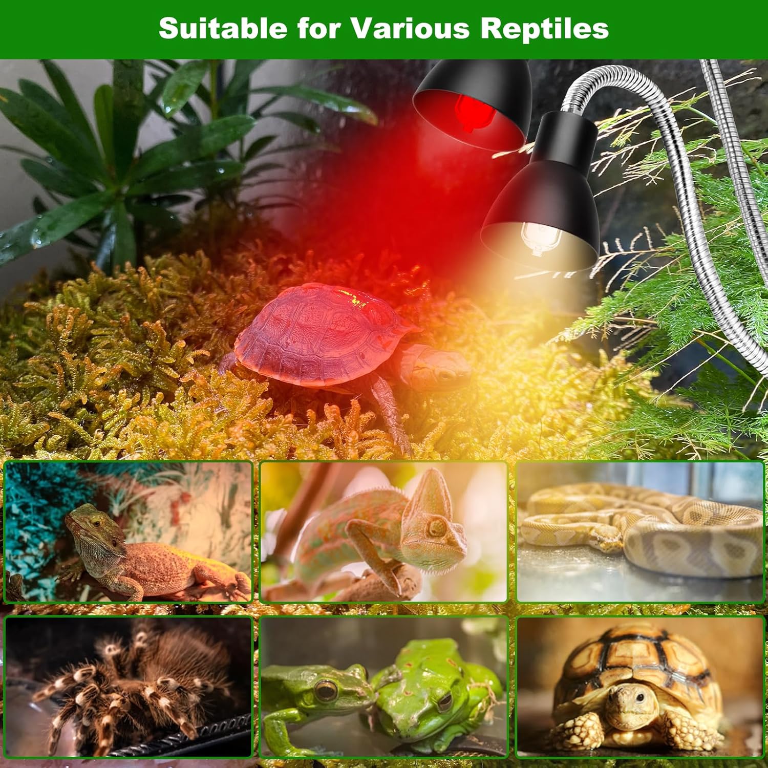 Heat Lamp for Reptile,UVA UVB Light for Turtle,Bearded Dragon Basking Light Bulbs,Dimmable 360°Gooseneck UV Heating