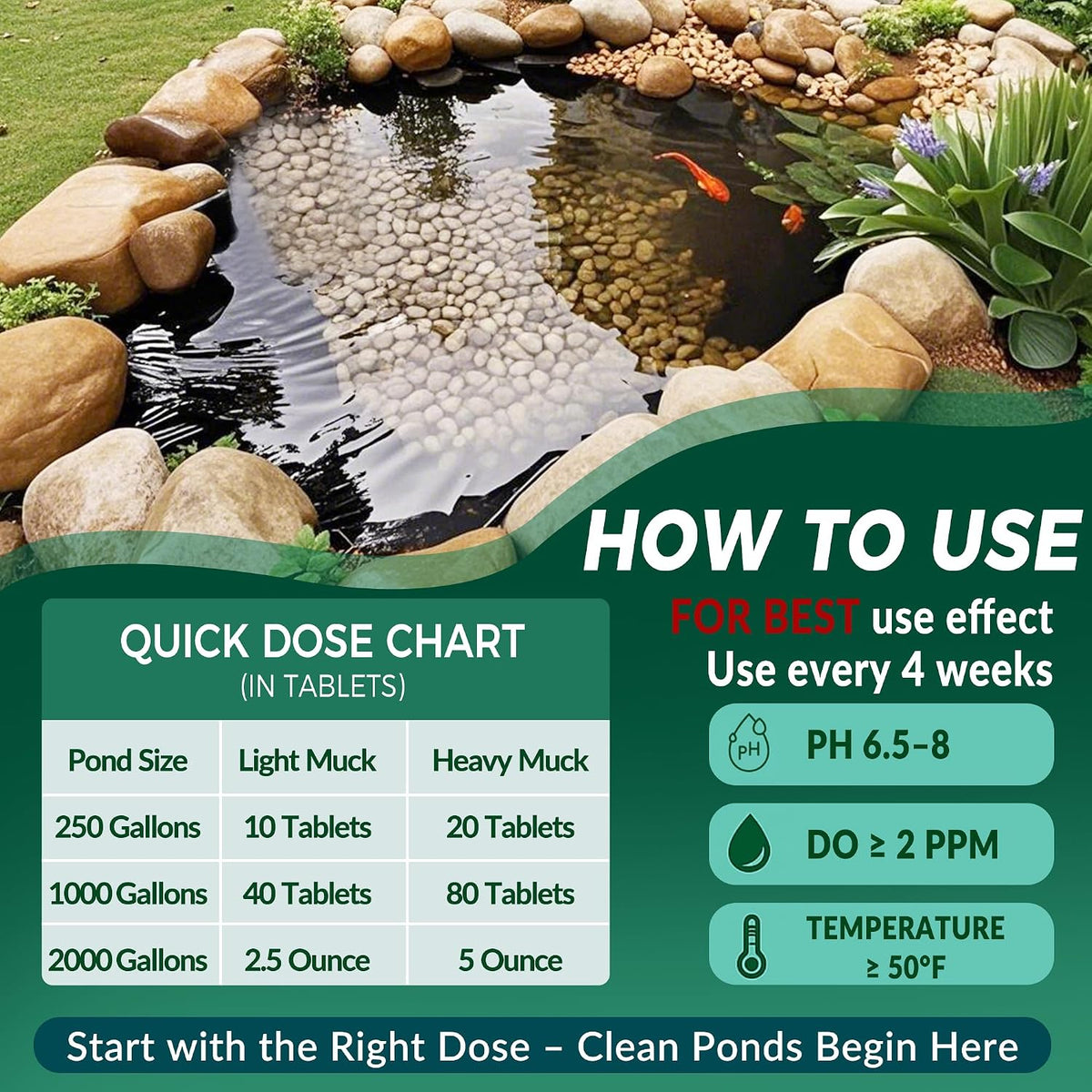 Muck Clear – Natural Pond Sludge Treatment, 500 Tablets for Ponds, Fountains & Bird Baths, Beneficial Bacteria &
