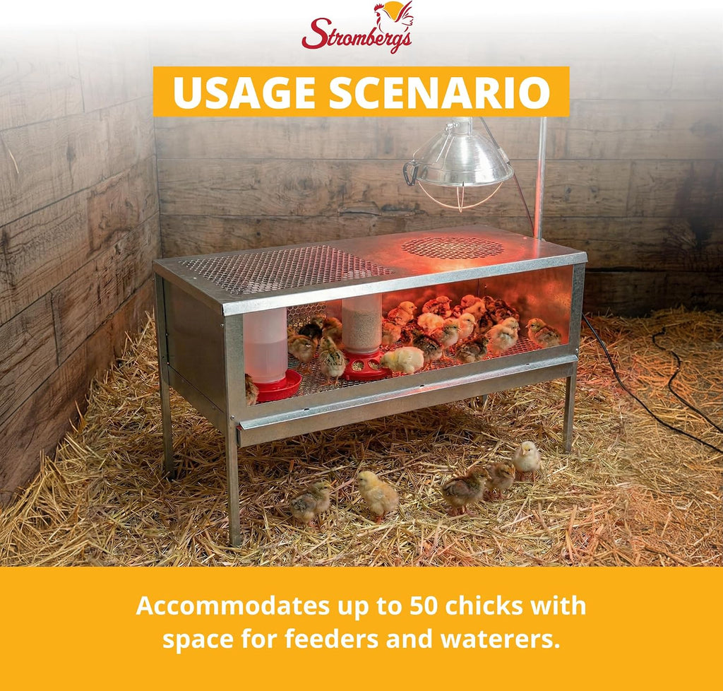 Stand Up Chick Brooder, Elevated Chicken Brooder Pen with Lamp Stand, Removable Tray, Wire Floor, Ventilated Steel