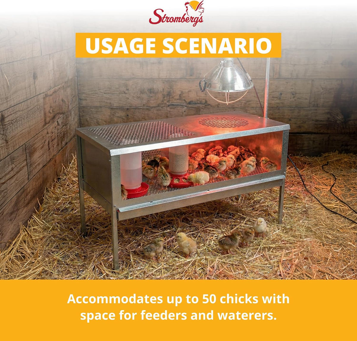 Stand Up Chick Brooder, Elevated Chicken Brooder Pen with Lamp Stand, Removable Tray, Wire Floor, Ventilated Steel