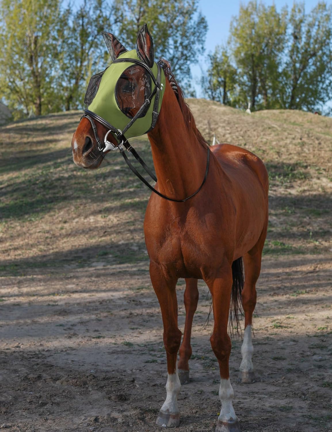 Horse Fly Mask with Ears, Fly Mask for Horses, Breathable Mesh