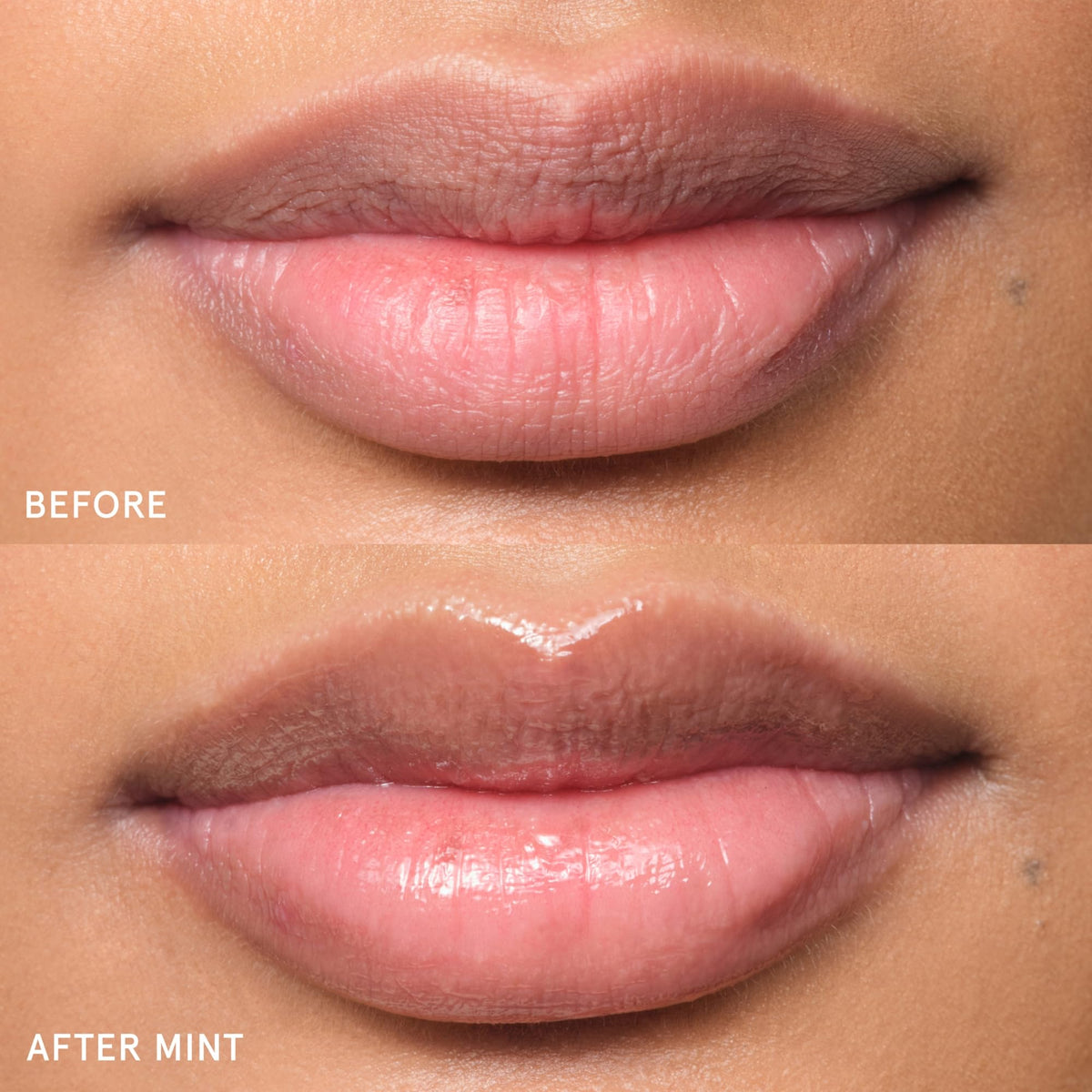 Balm Dotcom Lip Balm & Universal Salve, Mint, Untinted