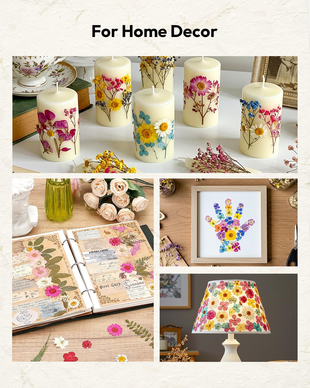 Dried Flowers, Resiners 100Pcs Pressed Flowers for Craft Purple Real Natural Dried Flowers Dry Leaves Kit for DIY