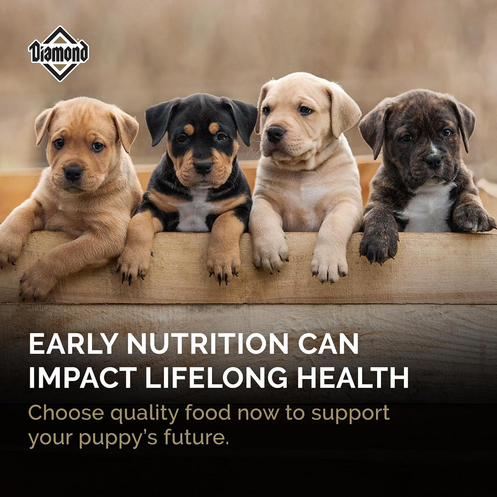 Puppy High Protein Dry Dog Food, Chicken Protein, 40lb