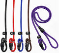 5-Pack Dog Slip Leashes 4.6FT Nylon Training Lead, 5 Colors