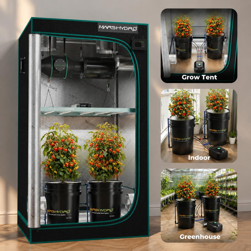 DWC 4‑Bucket Hydroponic System with Pump & Drip | 5 Gallon Capacity, 11W Air Pump, Air Stone & Hose, Recirculating