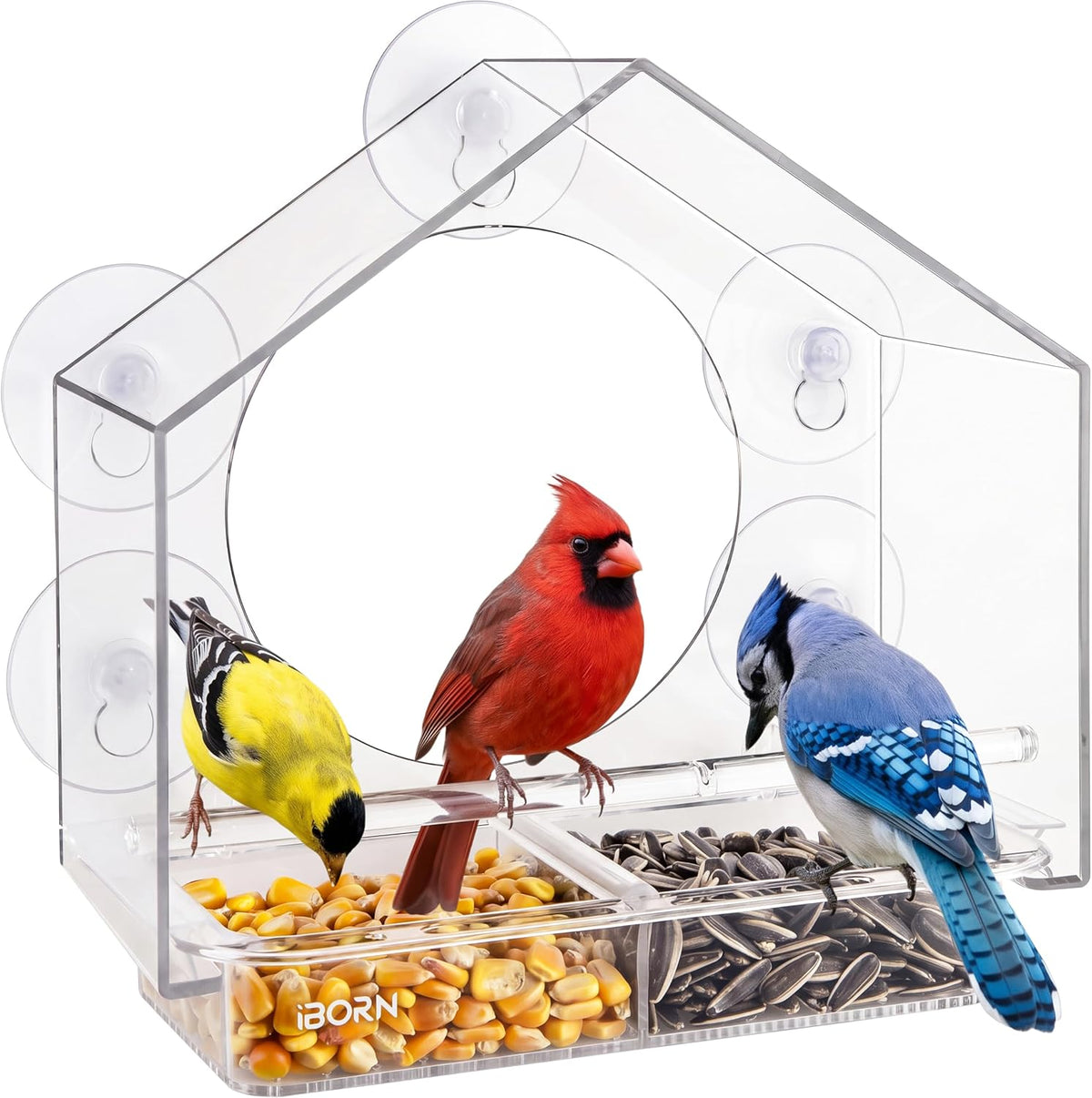 Large Window Bird Feeder w/Wind-Proof Tray Lock, Chew-Resistant PC, 1.2LB