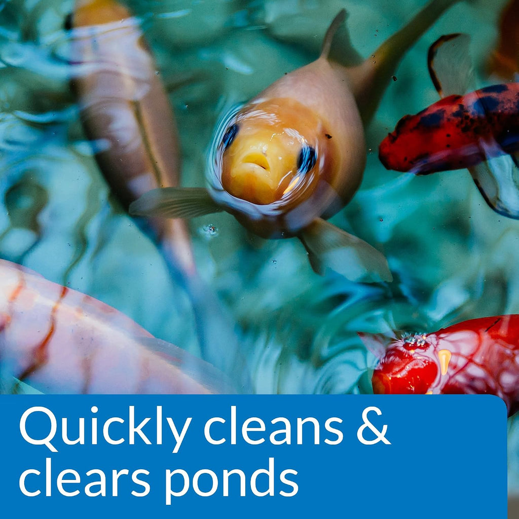 POND SIMPLY CLEAR Pond Water Clarifier 16-Ounce Bottle (248B)