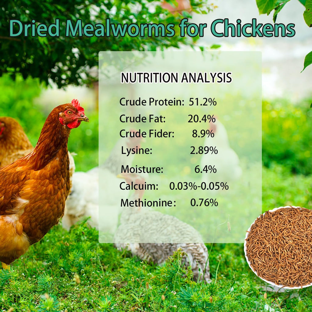 Dried Mealworms for Chickens 10LB Meal Worms for Laying Hens Wild Birds