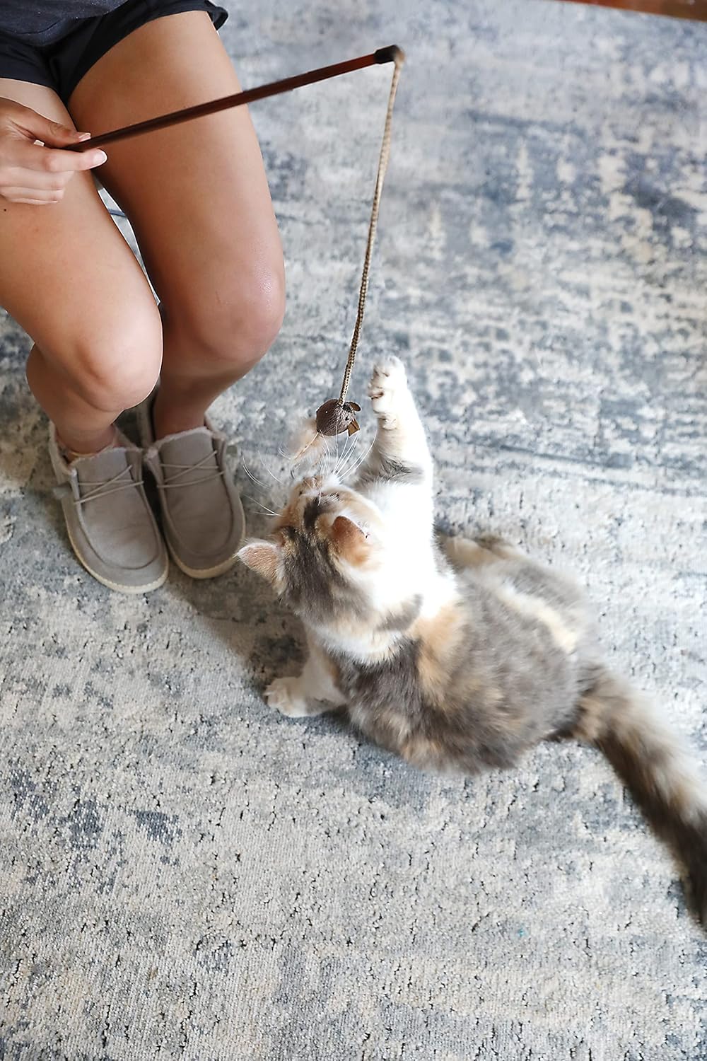 OurPet's Play-N-Squeak Teathered & Feathered Play Wand Cat Toy