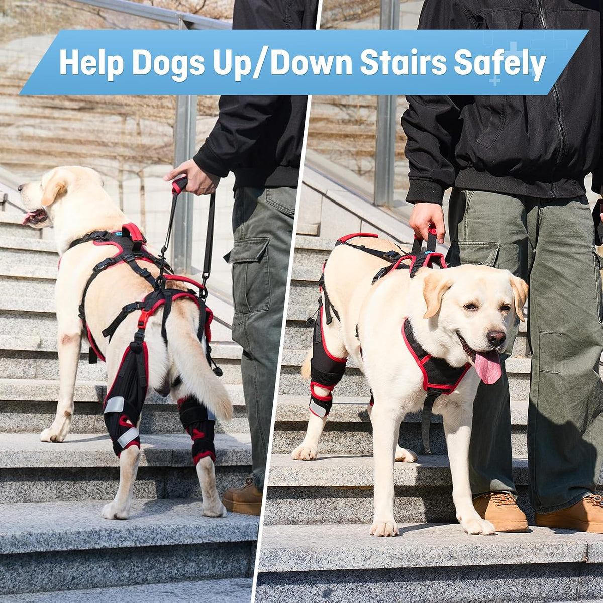 Dog ACL CCL Knee Brace for Large Dogs, Set of 2 Hind Leg Braces with Handles & Shoulder Strap – Non-Slip Support for