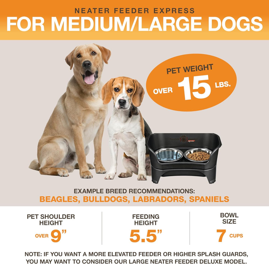 Express Mess Proof Dog Bowls Elevated for Medium to Large Sized Breed, No Spill Raised Dog Food Bowl Stand, Stainless