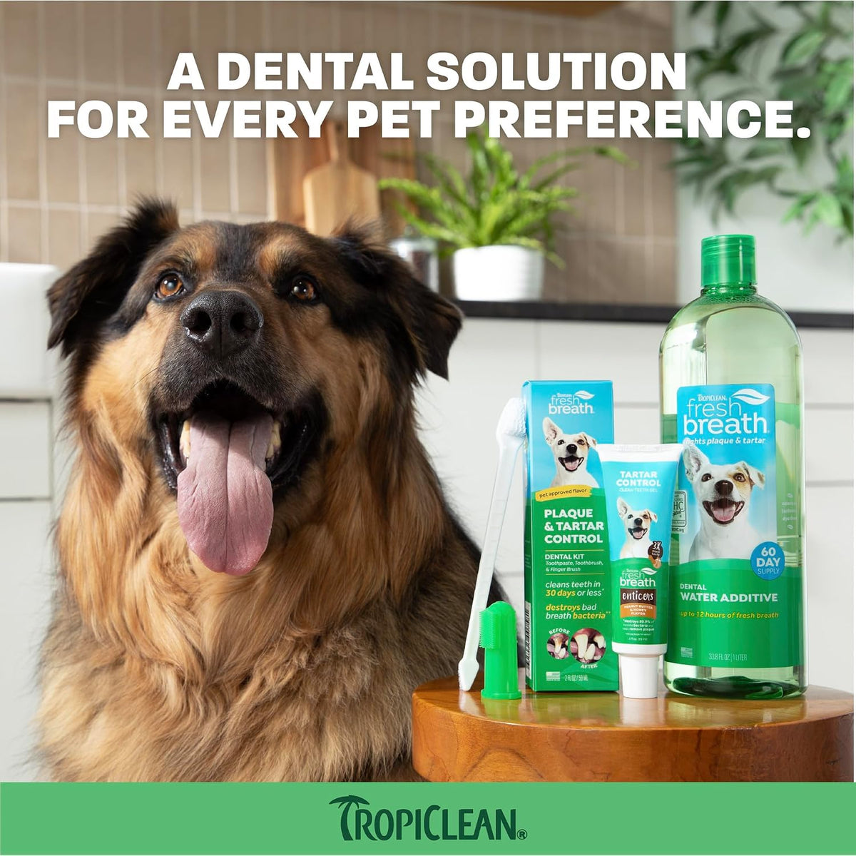 Clean Teeth Gel for Dogs | Dog Dental Care | Dog Toothpaste | Breath Freshener | Easy Teeth Cleaning | Made in the