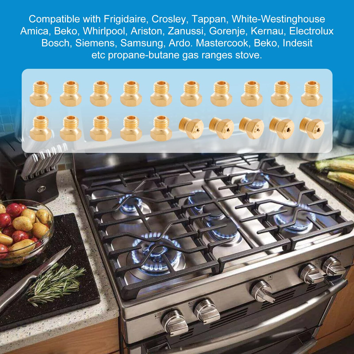 Catilon Range Stove Oven Orifice Conversion Kit, Natural Gas to Propane