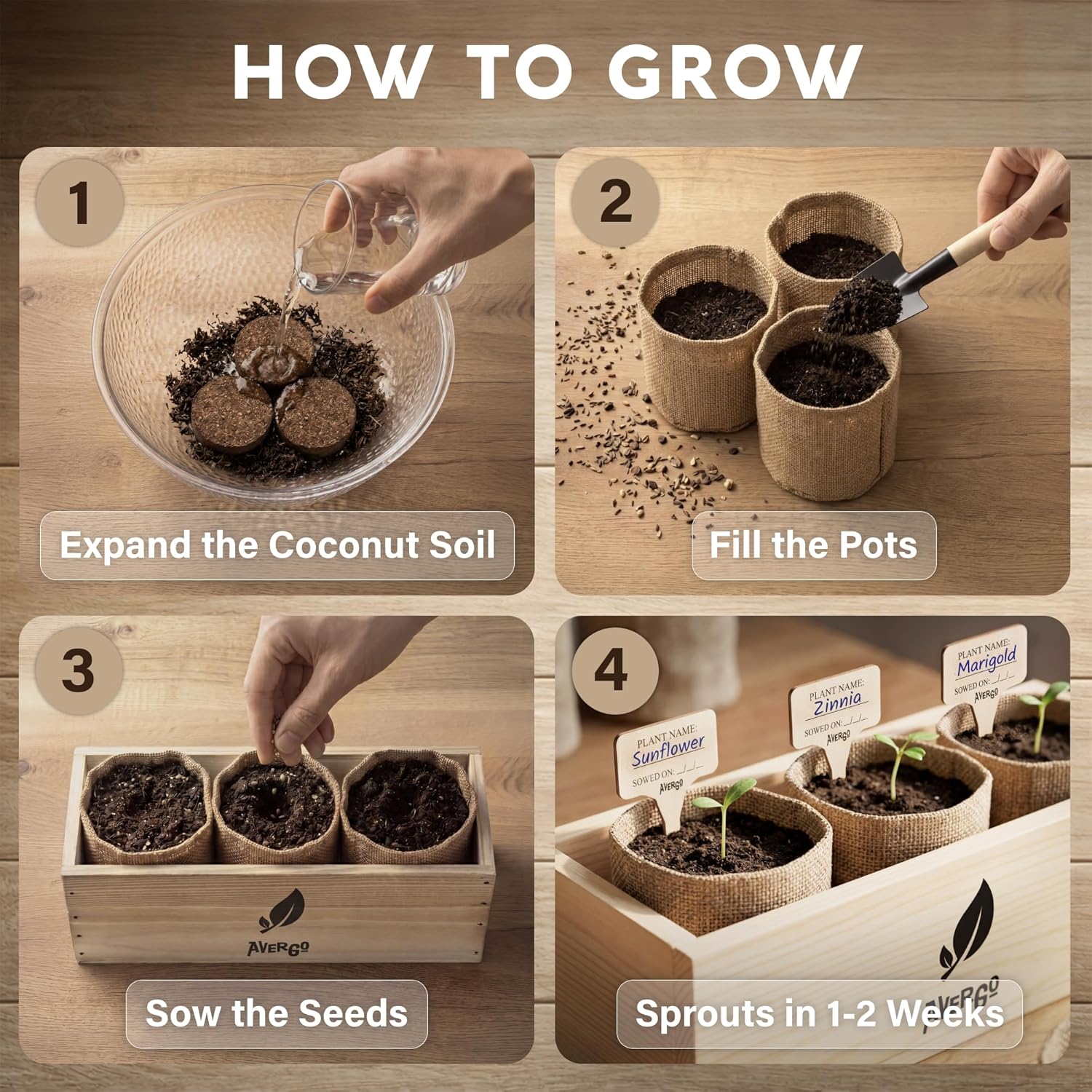 Sunflower, Marigold & Zinnia Flower Seeds Growing Kit | Complete Indoor & Outdoor Kit with Seeds for Planting