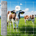 Cattle Fence, Farm Fence 4ft x 164ft - 14 Gauge Galvanized Wire Fence & Chain Link Fence for Hog, Goat, Sheep & Deer;