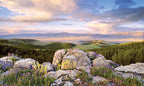 Window Well Scenes Wall Art- Sunrise, 60" x 120"