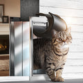 Cat Door for Wall, Small Pet Door, Heavy Duty Doggy Door, All Aluminum Frame, 2 Magnetic Flaps, Energy Efficient