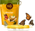 Flutterby 12 oz Outdoor Butterfly Feeder + 7.5 oz Nectar Bundle | Butterfly Feeding Station for Garden with Fruit