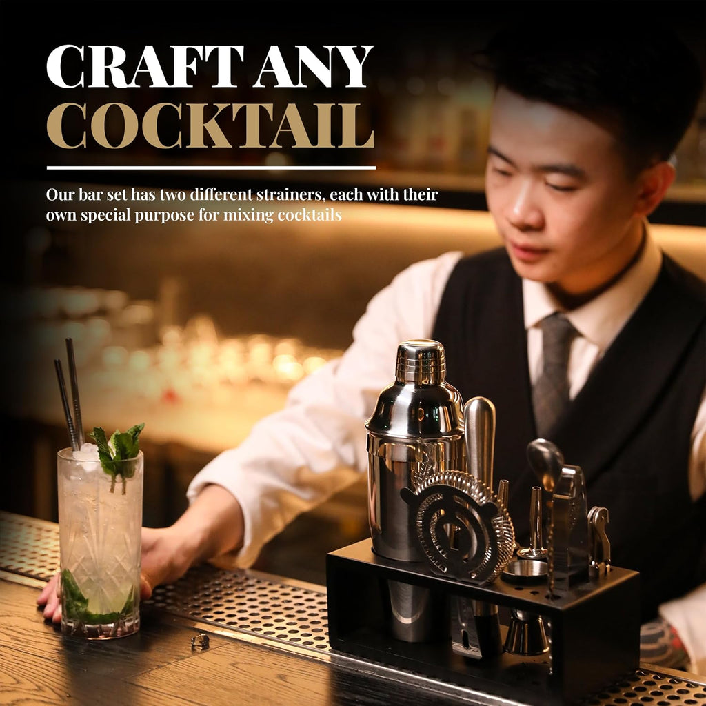 Mixology Bartender Kit with Stand - 15 Piece Bar Tool Set, Silver Bar Set Cocktail Shaker Set for Drink Mixing