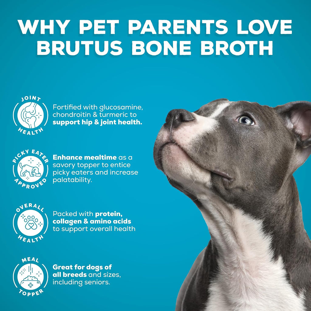 Brutus Chicken Broth Liquid for Dogs - All Natural Chicken Bone Broth for Dogs with Chondroitin Glucosamine Turmeric