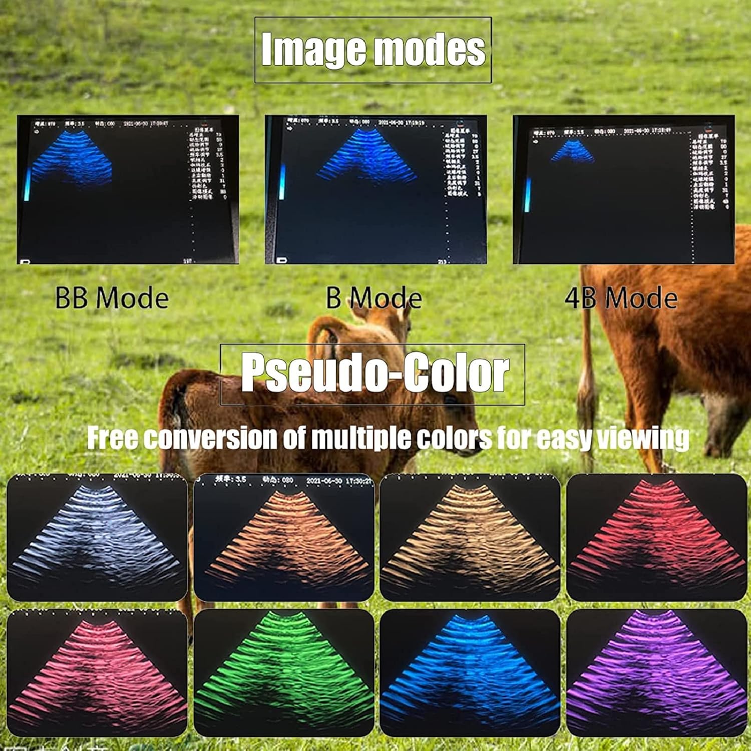 Dog Pregnancy Test Ultrasound Scanner Veterinary Machine Laptop 12 Inch Portable Black White Doppler Farm Animals