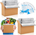 2 Pack Insulated Shipping Boxes for Frozen Food with Ice Packs, M