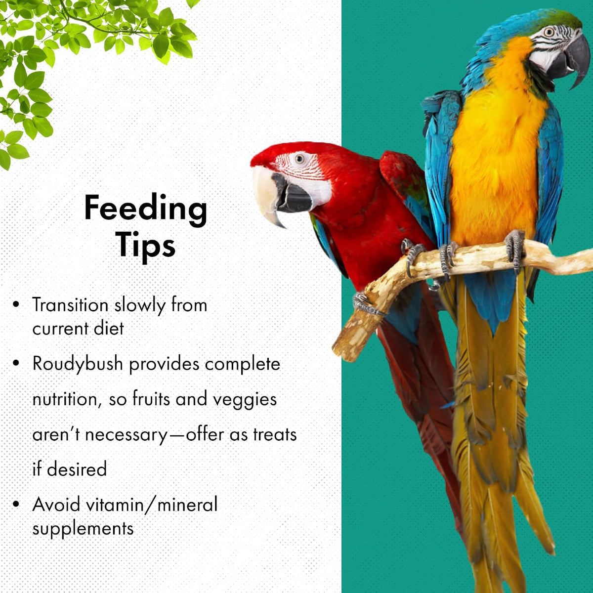 Daily Maintenance Food for Birds - Scientifically Formulated Bird Feed - Bird Food Pellets w/Corn, Wheat, Soy & More
