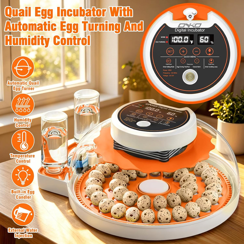 Quail Egg Incubator with Automatic Turner and Humidity Control