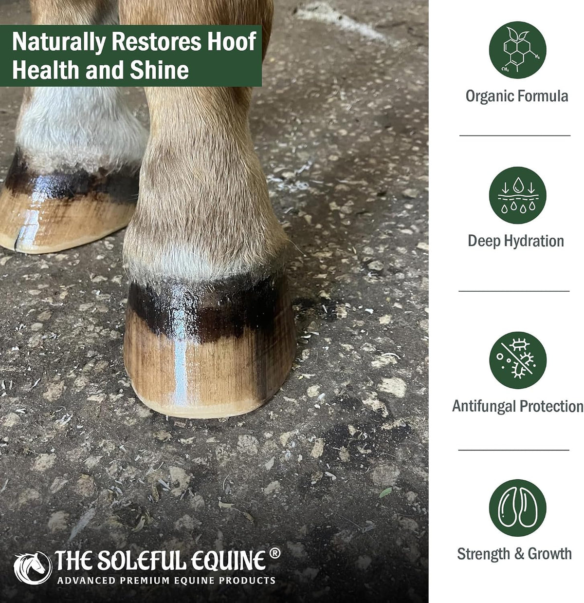 Hoof Oil, Horse Hoof White Line, Thrush, Abscesses, Overall Hoof Strength, Growth, Hoof Conditioning Rehydration.
