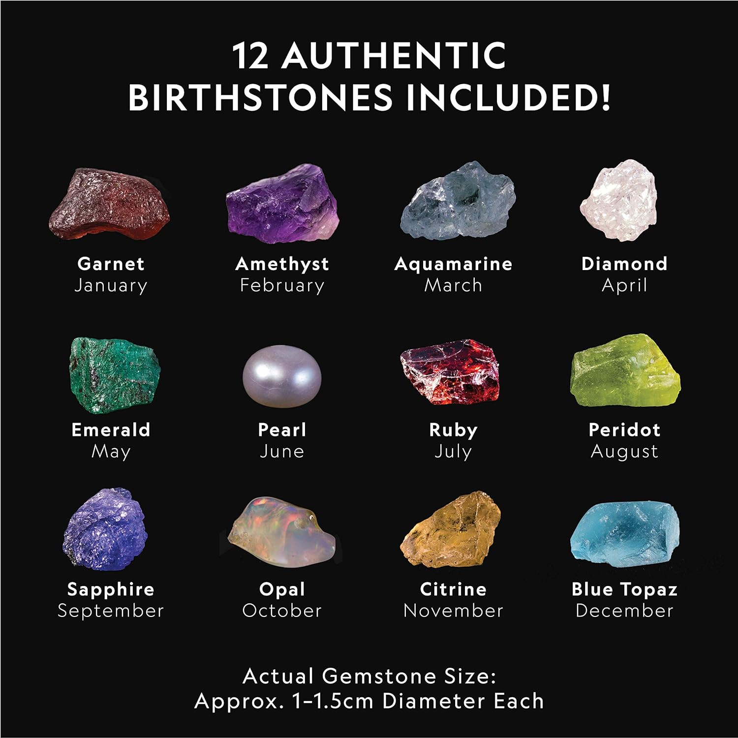 National Geographic Birthstone Dig Kit with 12 Genuine Gemstones for Kids | Real Diamond, Ruby, Sapphire & Pearl
