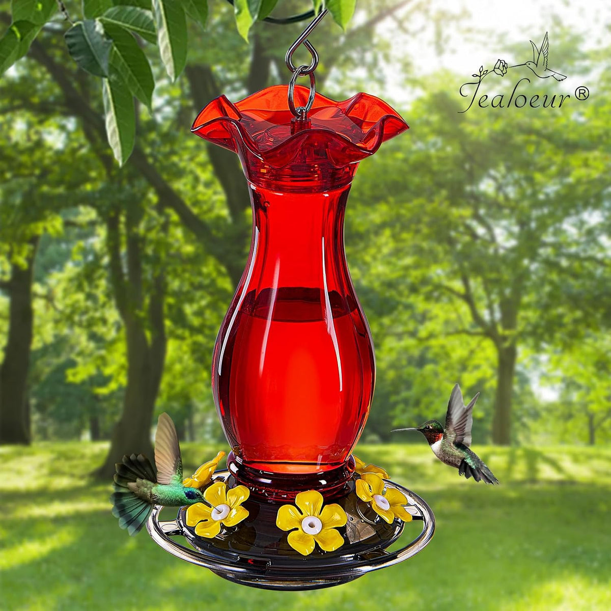 Hummingbird Feeder for Outdoors Hanging, 18 OZ Humming Birds Feeders with 6 Bee Guard Feeding Ports & Built-in Ant