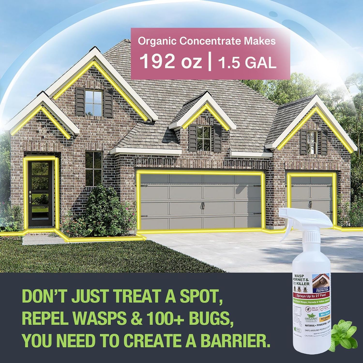 Natural Wasp & Hornet Killer, Ground Wasp Nest Spray, Wasp Concentrate
