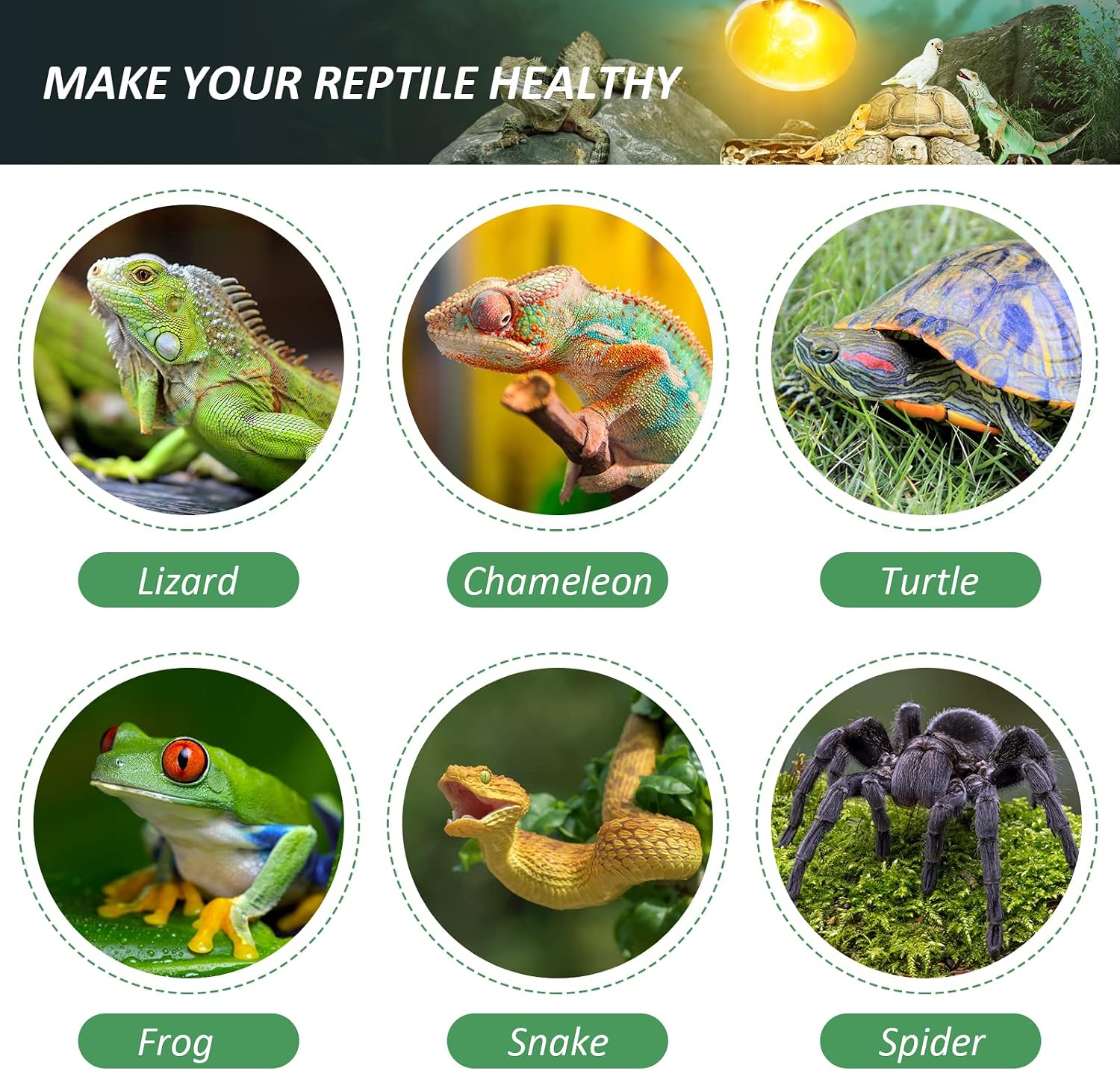 100W Reptile Heat Lamp Bulb Full Spectrum UVA UVB Sun Light for Reptile and Amphibian Use