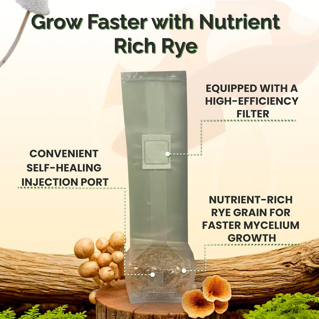 Mushroom Growing Kit with Injection Ports | Sterilized Rye Grain | Magic Indoor Grow Bags for Mushrooms | Home