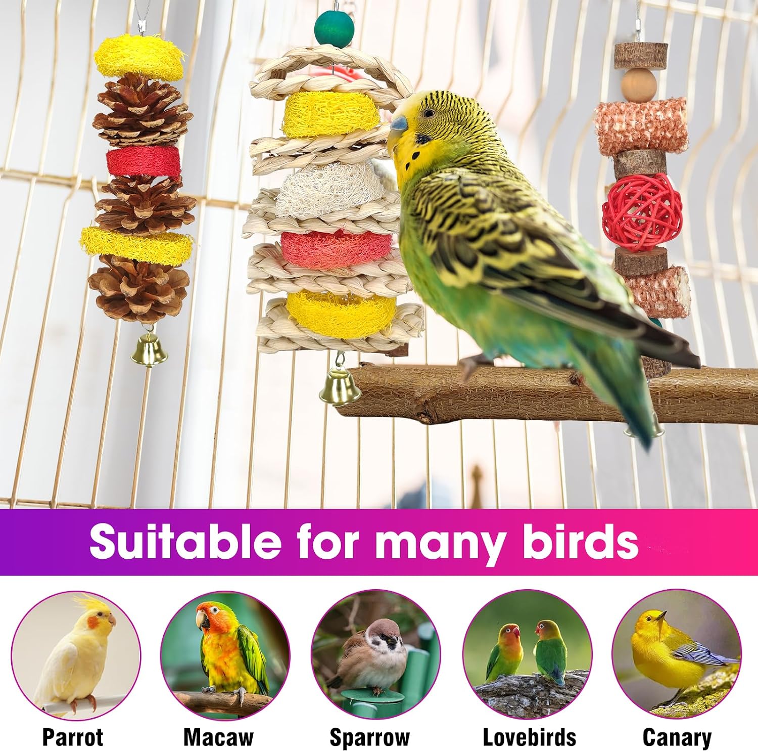 7 Pcs Natural Wood Bird Toy & Perch for Parakeets, Cockatiel & Lovebird, Budgie Play Accessory for Small Parrots