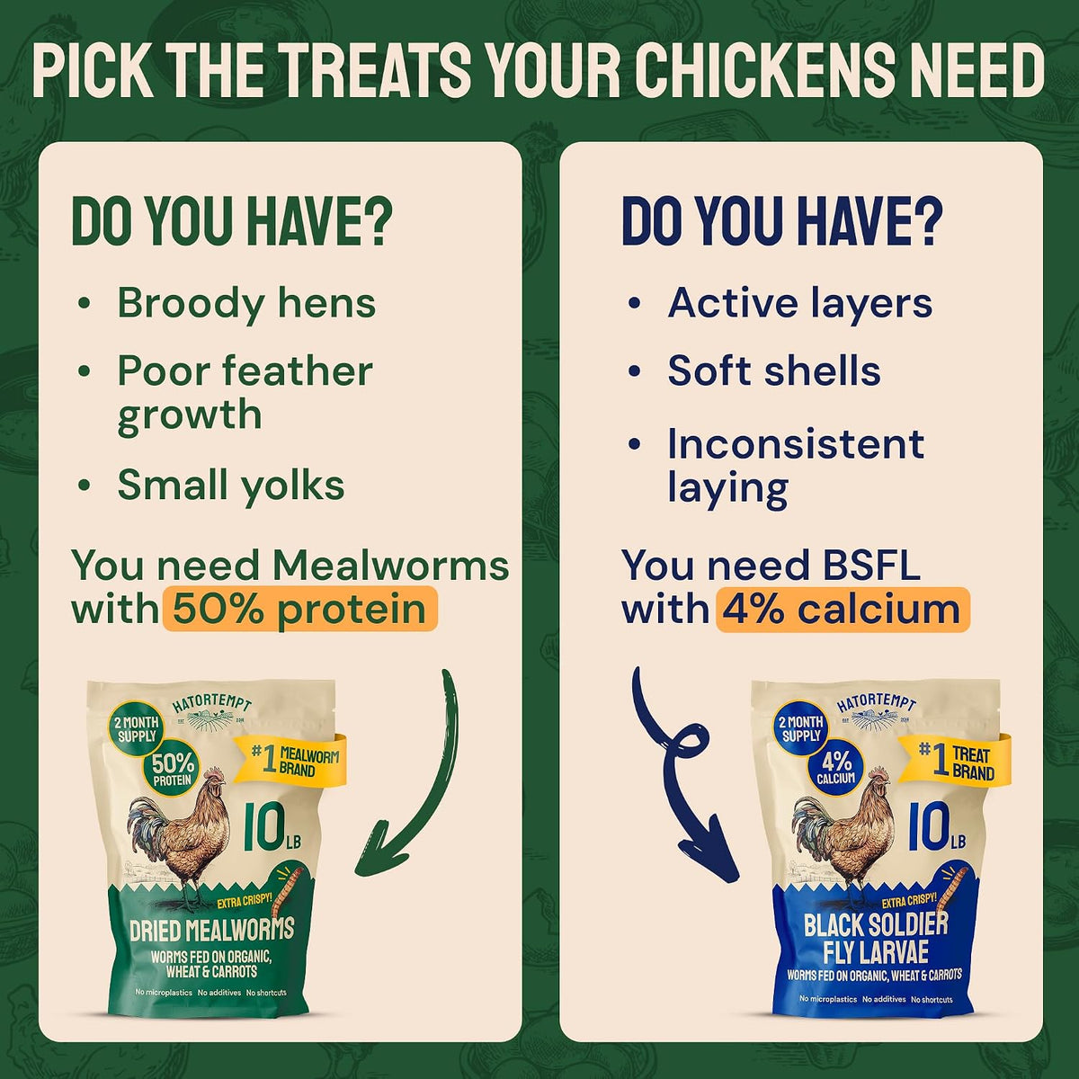 10lb Dried Mealworms for Chickens & Wild Birds, Chicken Feed