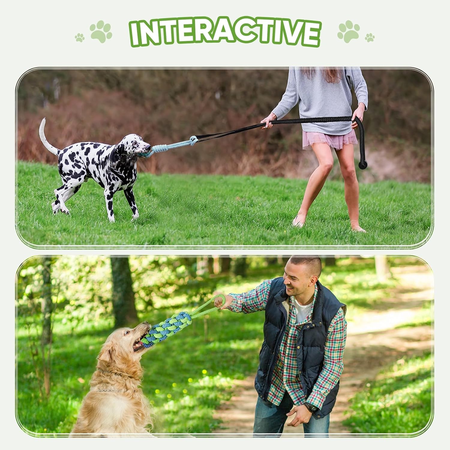 Dog Bungee Toy for Small/Medium Dogs,Interactive Dog Tug of War Toys Set with Tether, Rope and Ball, Tree Hanging