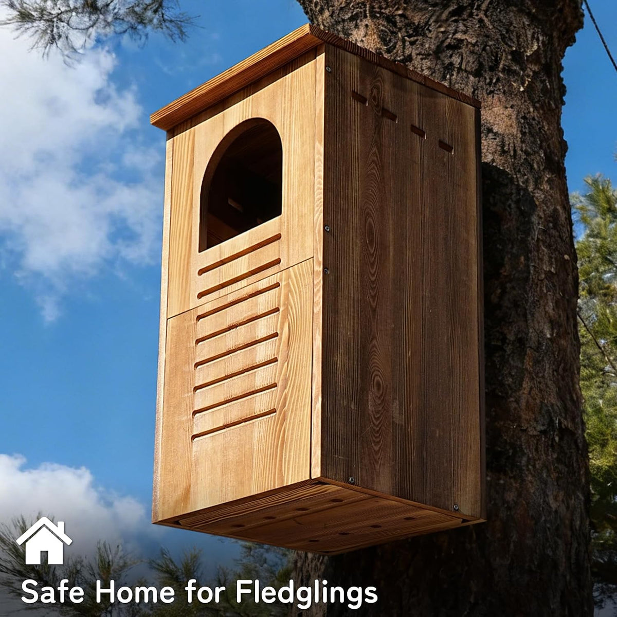 Barred Owl House, 25" Extra Large Owl Bird Box Handmade