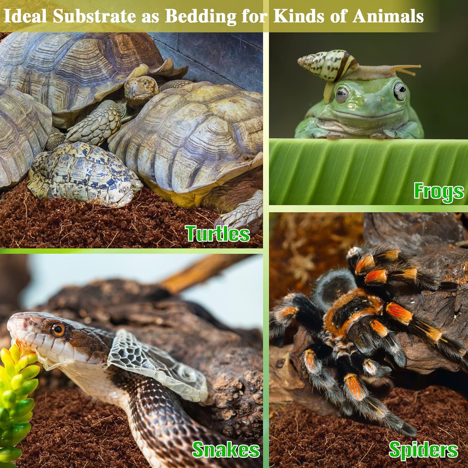 2 Pack Coconut Fiber Substrate, Premium Coco Coir Reptile Substrate | 100% Coconut Husk Terrarium Bedding for