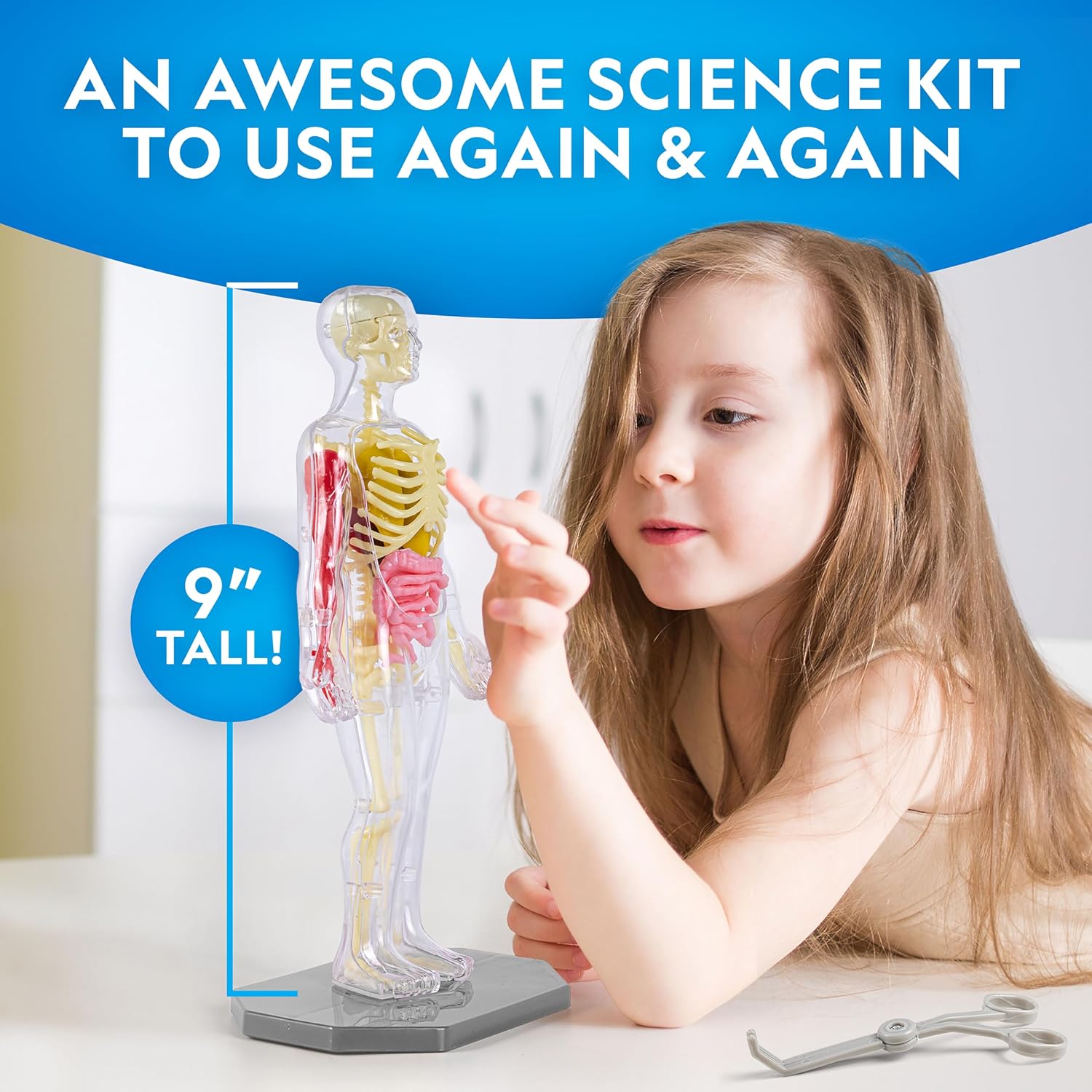 National Geographic Human Body Model for Kids 32-Piece Anatomy Set | Glow-in-the-Dark Bones, Organs & Muscles