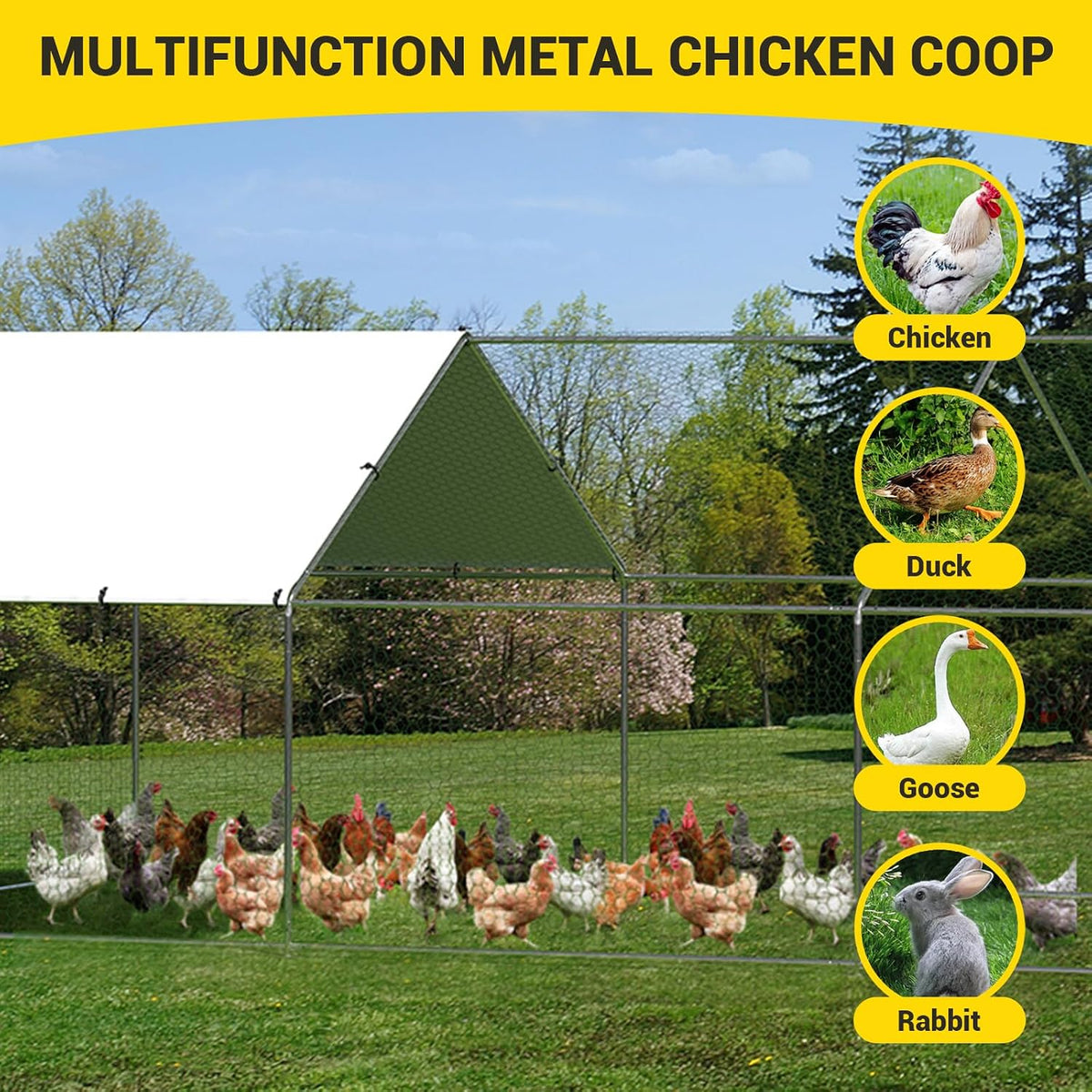 Chicken Coop with Run, Walk-in Metal Gable Roof Outdoor Pen