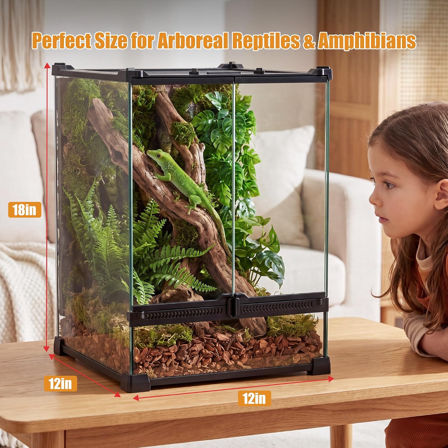 11 Gallon Fully Assembled Glass Reptile Enclosure,12"x 12" x 18" | Front Opening Tall Reptile Terrarium Tank for
