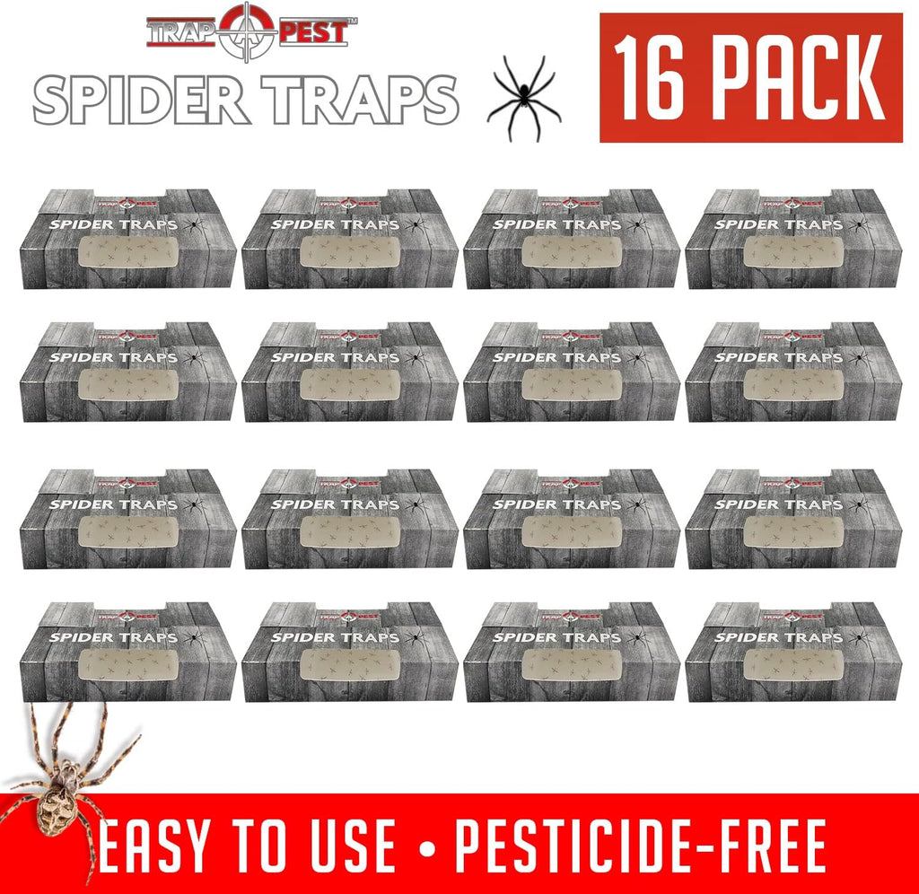 Trap a Pest Indoor Sticky Spider Traps - Glue Traps - 16 Pack