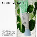 Balm Dotcom Lip Balm & Universal Salve, Mint, Untinted