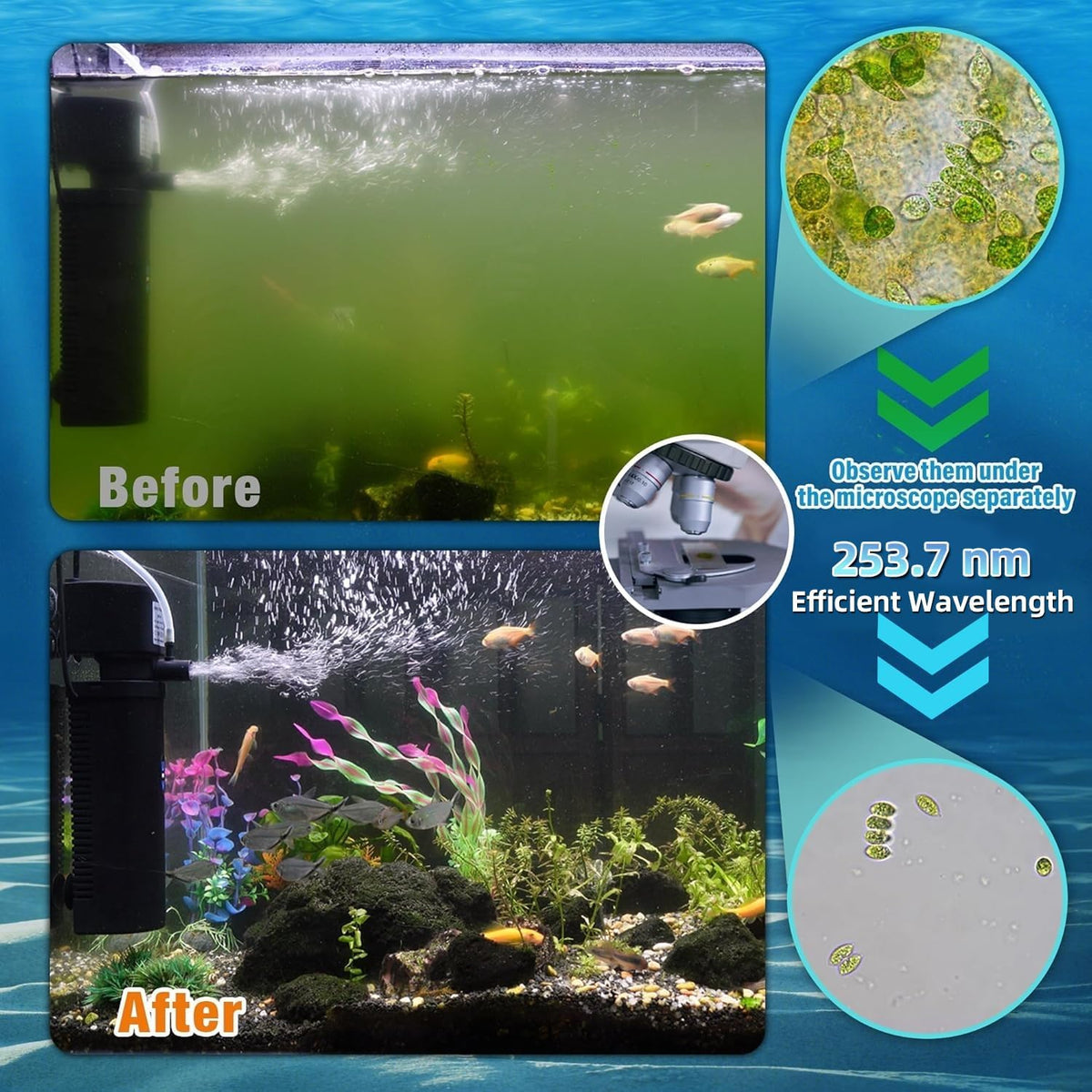 U-V Aquarium Filter for Fish Turtle Tank,Medium fit 20-75Gal