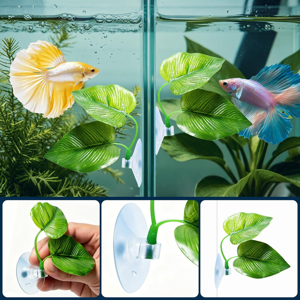2 Pack Betta Fish Leaf Pad Improves Betta's Health by Simulating the Natural Habitat - Natural, Organic, Comfortable