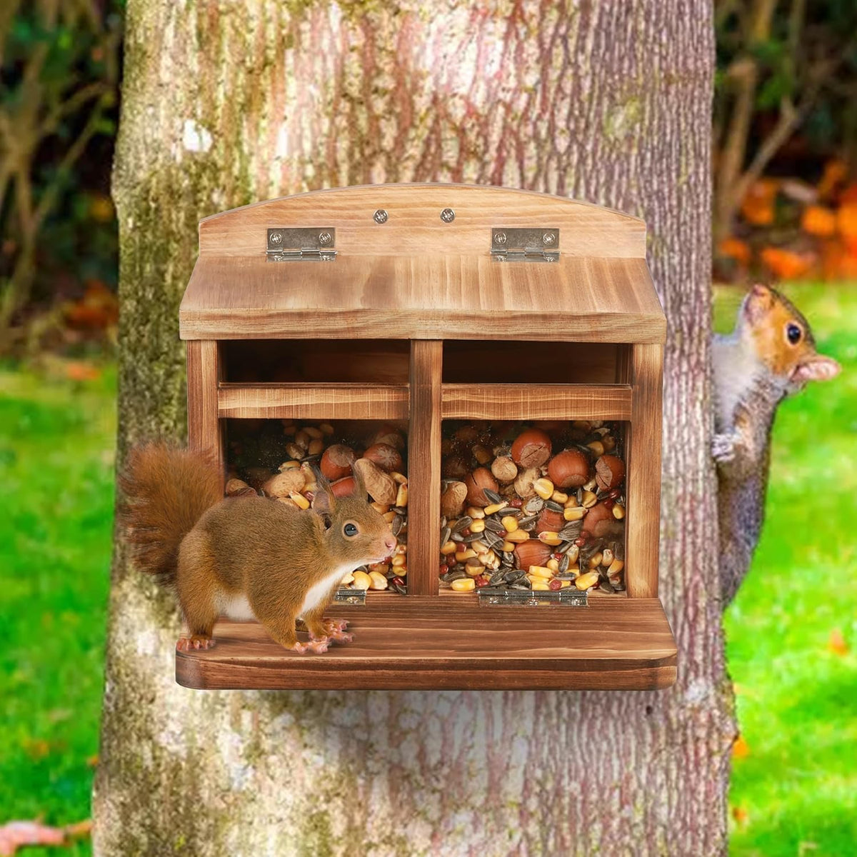 Large Squirrel Feeder House, Wooden Squirrel Feeders for Outside, Chipmunk Feeder Made of Thick Wood, No Assembly